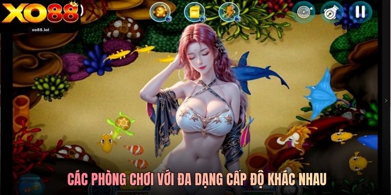 Bắn Cá Xo88 Ăn Tiền Thật, Đổi Thưởng Liền Tay 2026 2 Các phòng chơi với đa dạng cấp độ khác nhau