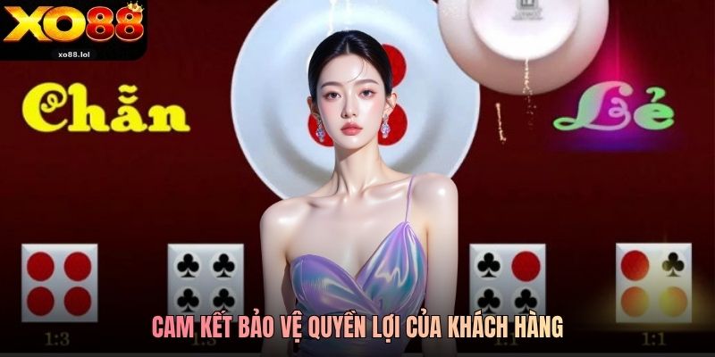 Cam kết bảo vệ quyền lợi của khách hàng