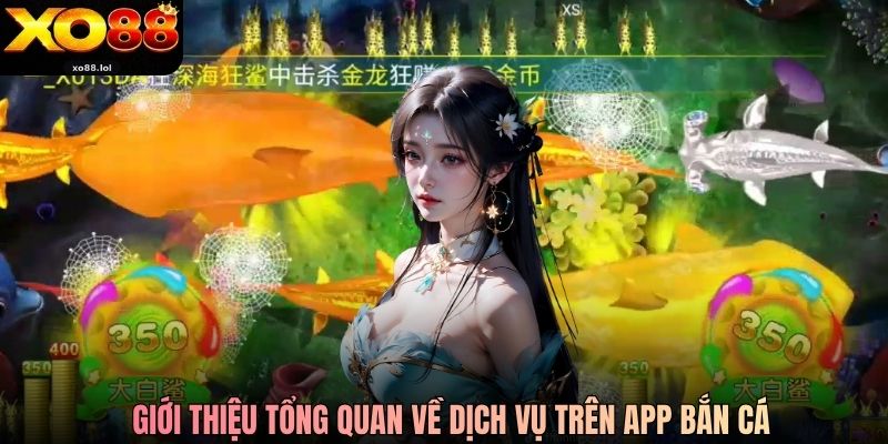 Tải Bắn Cá Xo88 - Quy Trình Tải Nhanh Chóng Và An Toàn 1 Giới thiệu tổng quan về dịch vụ trên app bắn cá