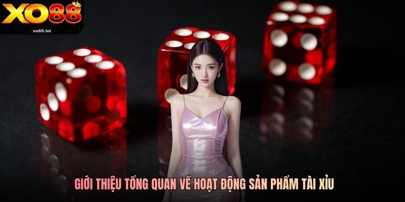 Tài Xỉu Xo88 - Trải Nghiệm Giải Trí Hấp Dẫn Hàng Đầu 1 Giới thiệu tổng quan về hoạt động sản phẩm Tài Xỉu