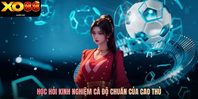 Kèo Tài Xỉu Xo88 - Lựa Chọn An Toàn Nhận Thưởng Dễ Dàng 3 Học hỏi kinh nghiệm cá độ chuẩn của cao thủ