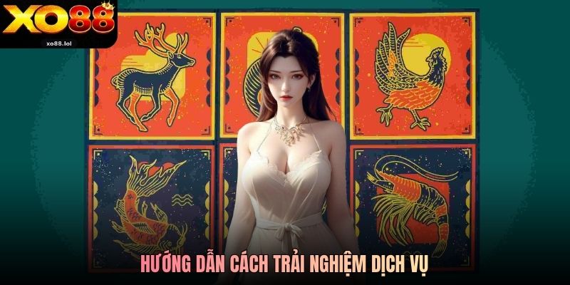 Hướng dẫn cách trải nghiệm dịch vụ