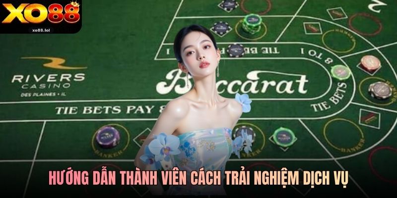Hướng dẫn thành viên cách trải nghiệm dịch vụ
