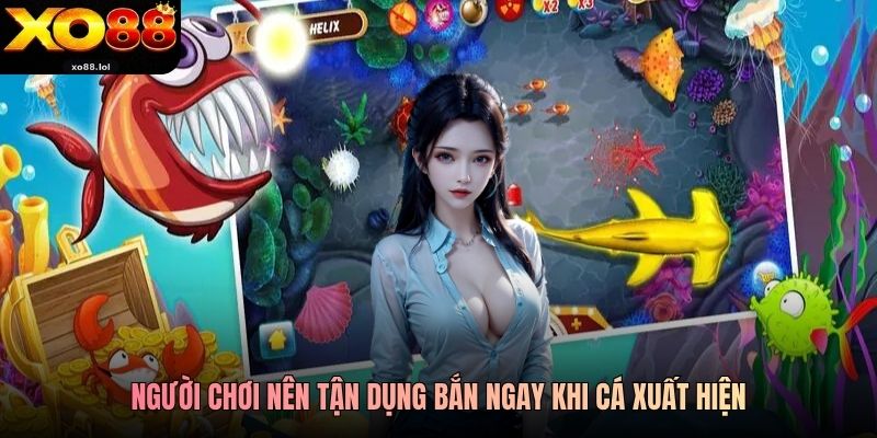 Bắn Cá Xo88 Ăn Tiền Thật, Đổi Thưởng Liền Tay 2026 4 Người chơi nên tận dụng bắn ngay khi cá xuất hiện