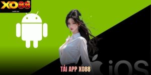 Tải App Xo88 - Hướng Dẫn Cài Đặt Chi Tiết Trên Android Và iOS Mới Nhất 2026